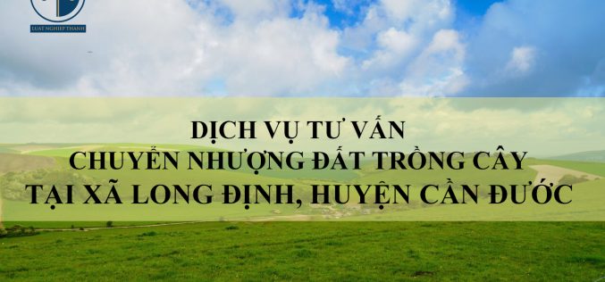 Dịch vụ tư vấn chuyển nhượng đất trồng cây tại xã Long Định, huyện Cần Đước
