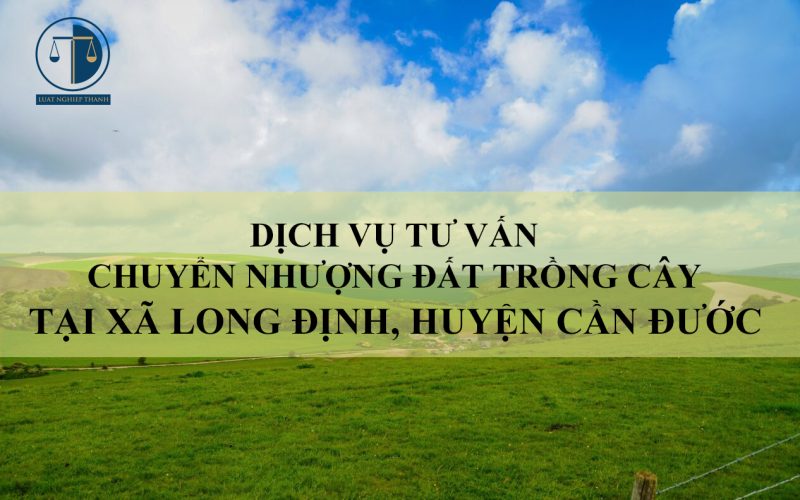 Dịch vụ tư vấn chuyển nhượng đất trồng cây tại xã Long Định, huyện Cần Đước