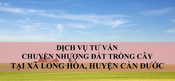 Dịch vụ tư vấn chuyển nhượng đất trồng cây tại xã Long Hòa, huyện Cần Đước