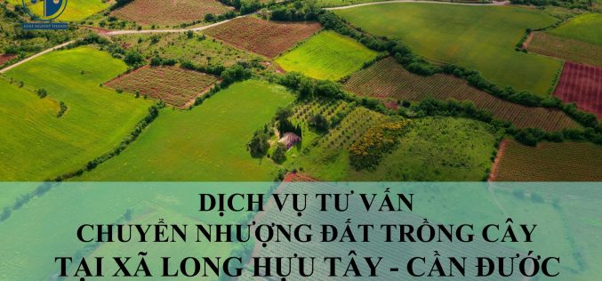 Dịch vụ tư vấn chuyển nhượng đất trồng cây tại xã Long Hựu Tây, huyện Cần Đước