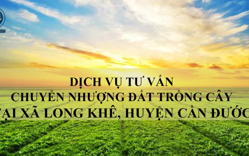 Dịch vụ tư vấn chuyển nhượng đất trồng cây tại xã Long Khê, huyện Cần Đước