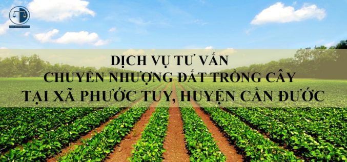 Dịch vụ tư vấn chuyển nhượng đất trồng cây tại xã Phước Tuy, huyện Cần Đước