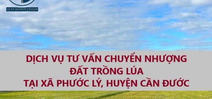 Dịch vụ tư vấn chuyển nhượng đất trồng lúa tại xã Phước Lý, huyện Cần Giuộc