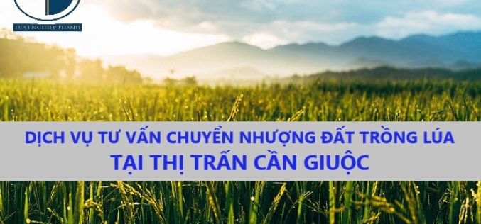 Dịch vụ tư vấn chuyển nhượng đất trồng lúa tại thị trấn Cần Giuộc, huyện Cần Giuộc