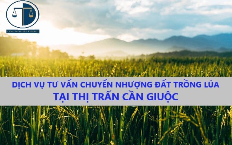 Dịch vụ tư vấn chuyển nhượng đất trồng lúa tại thị trấn Cần Giuộc, huyện Cần Giuộc