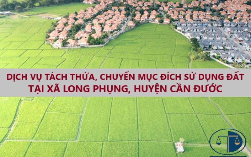 Dịch vụ tư vấn tách thửa, chuyển mục đích sử dụng đất xã Long Phụng, huyện Cần Giuộc