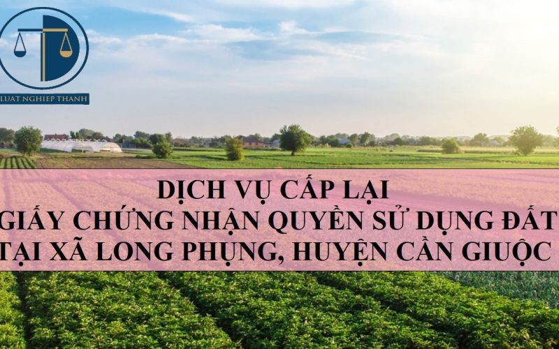 Dịch vụ cấp lại Giấy chứng nhận quyền sử dụng đất tại xã Long Phụng, huyện Cần Giuộc