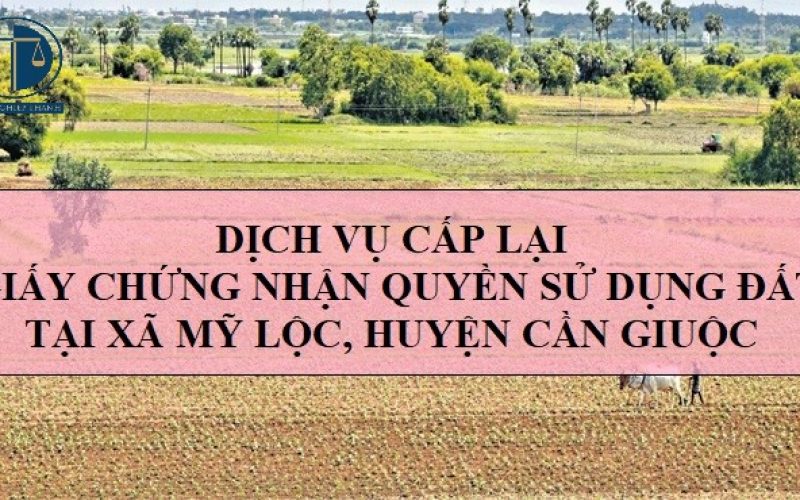 Dịch vụ cấp lại Giấy chứng nhận quyền sử dụng đất tại xã Mỹ Lộc, huyện Cần Giuộc