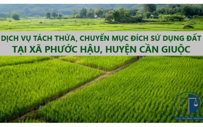 Dịch vụ tư vấn tách thửa, chuyển mục đích sử dụng đất xã Phước Hậu, huyện Cần Giuộc