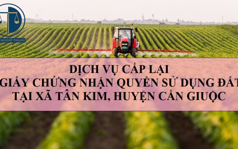 Dịch vụ cấp lại Giấy chứng nhận quyền sử dụng đất tại xã Tân Kim, huyện Cần Giuộc
