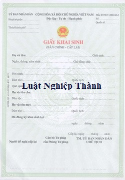 Trích lục giấy khai sinh người Việt Nam định cư nước ngoài
